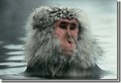 clip_image0024_thumb[1]